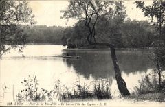 CPA Lyon Parc de la Tete d'Or le Lac et L'Ile des Cygnes 