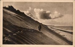 CPA Les Charmes de la Cote d'Argent Mer et Foret 