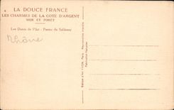CPA Les Charmes de la Cote d'Argent Mer et Foret 