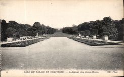 CPA Parc du Palais de Compiegne L'Avenue des Beaux Monts 