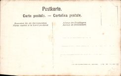 CARTE PHOTO Femme Chien