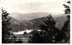CPA Environs d'Oyonnax Ain Vue sur le lac Genin 
