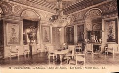 CPA Compiegne Le Chateau Salon des Fleurs 