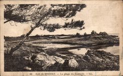 CPA Ile de Brehat la Plage du Guersido 