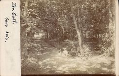 CARTE PHOTO Ker Gael Sous Bois