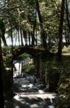 CPA Ermenonville Oise Le Petit Pont de la Launette 