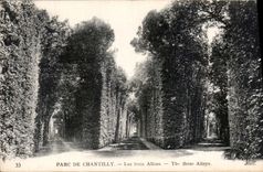 CPA Parc de Chantilly les trois Allees 
