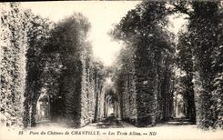 CPA Parc du Chateau de Chantilly les Trois Allees 
