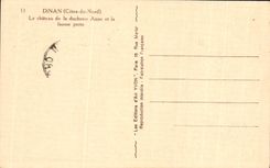 CPA Dinan Cotes du Nord le Chateau de la duchesse Anne et la fausse porte