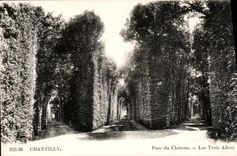 CPA Chantilly Parc du Chateau les Trois Allees 