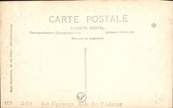 CPA Arles les Alyscamps Allee des  Tombeaux 