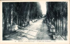 CPA Arles les Alyscamps l'Allee des Tombeaux 