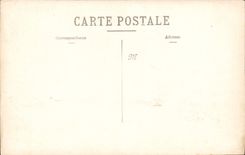 CARTE PHOTO Peinture Fleurs