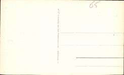 CPA Lourdes la Grotte et la Basilique 