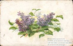 CPA Excuses moi si j'ose ecrire ces mois qu'on prononce tout bas je vous aime c'est tout vous dire d