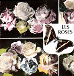 CPA Les roses Fleurs Papillon
