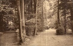 CPA Sacre Coeur de Jette 