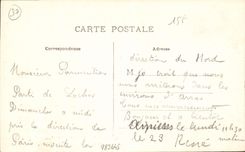 CPA Indre et Loire Loches Parc du Chateau le Marronnier Plante par Francois 1er 