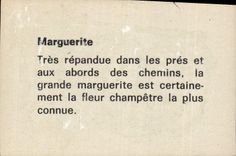 CPA Marguerite Fleurs