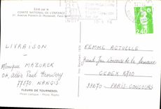 CPA Fleurs de Tournesol 