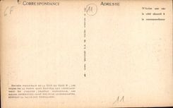 CPA Carcassonne La Porte de Narbonne 