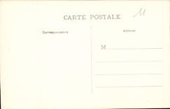 CPA La Cite de Carcassonne le Chateau feodal Entree Principale 