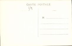 CPA La Cite de Carcassonne Porte d'Aude 