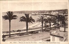 CPA Nice Palmiers du Quai des Etats Unis 