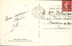 CPA Cote d'Azur Artistique Nice Entre les fleurs et les oliviers 