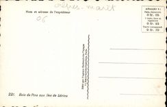 CPA Bois de Pins aux Iles de Lerins 