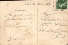 CPA Nice Jardins Gambetta Palmiers 