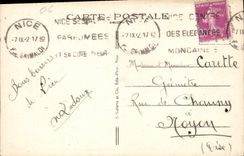 CPA Nice Jardins Albert Ier Groupe de Palmiers 