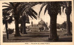 CPA Nice Palmiers du Jardin Public 