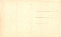 CPA Nice Palmiers du Jardin Public 