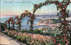 CPA Nice vue prise entre les fleurs 