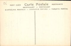 CPA Nice Allee de Palmiers au Chateau 