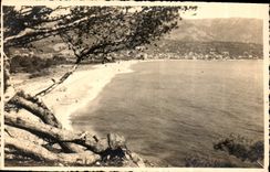 CPA Cote des Maures le Lavandou 