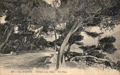 CPA Cap Martin Chemin sous Bois 