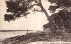 CPA Cannes Sous bois Ile St Honorat 