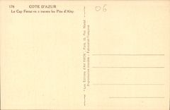 CPA Cote d'Azur Le Cap Ferrat vu a travers les Pins d'Alep 