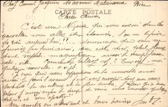 CPA Nice Palmiers et Palais de la Jetee 