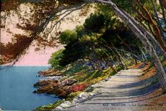 CPA Menton Le Cap Martin 