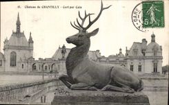 CPA Chateau de Chantilly Cerf par Cain 