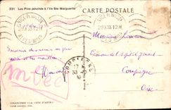 CPA Les Pins Penches a l'Ile Ste Marguerite 