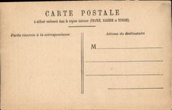 CPA Versailles le Parc du Chateau bassin de Latone et Tapis Vert 