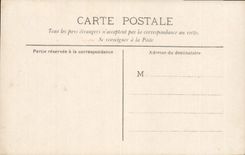 CARTE PHOTO Femmes Palmiers