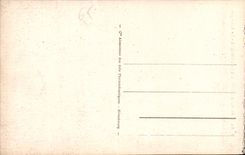 CPA Route a Pierrefitte a Cauterets le Limacon  