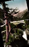 CPA Environs de Cauterets Hautes Pyrenees Le Pont d'Espagne 