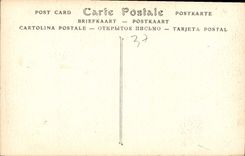 CPA Chateau de Azay le Rideau fragments decoratif de Niches ornant de la Facade principale