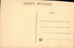 CPA Palais de Fontainebleau Le Chateau et L'Etang des Carpes 